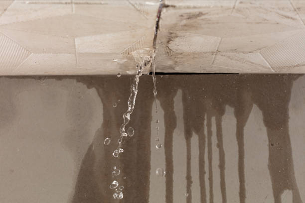 Professional Structural Drying technician working in Sanders, KY